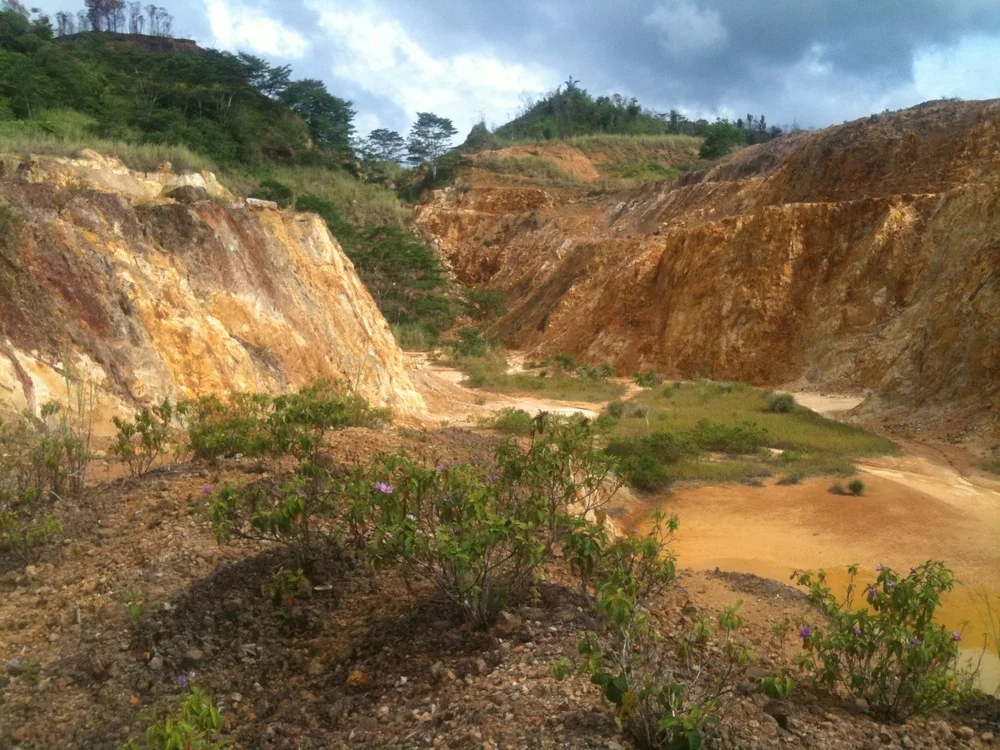 motherlode banner.jpg