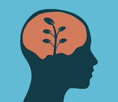 Keep Moving Forward: Growth Mindset