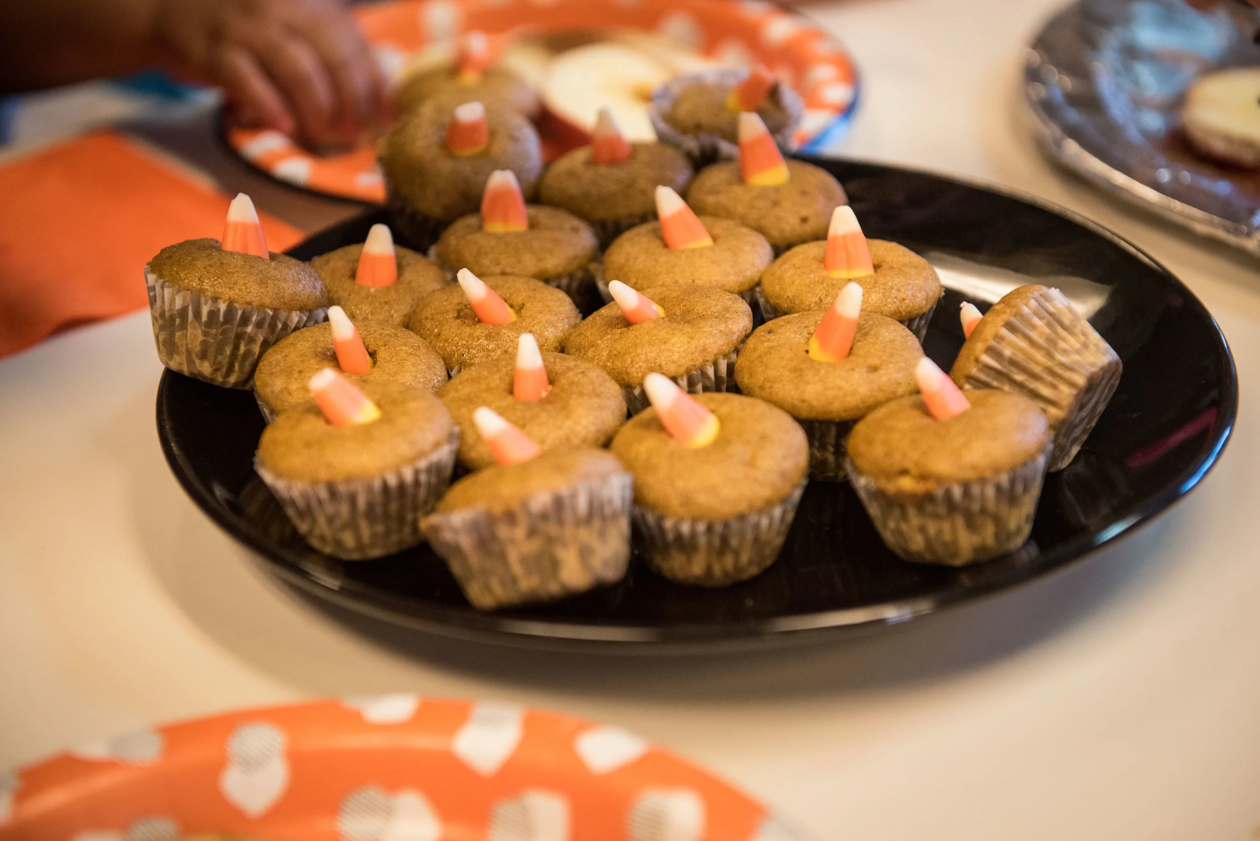 MCH Fall Festival 2016-043.jpg