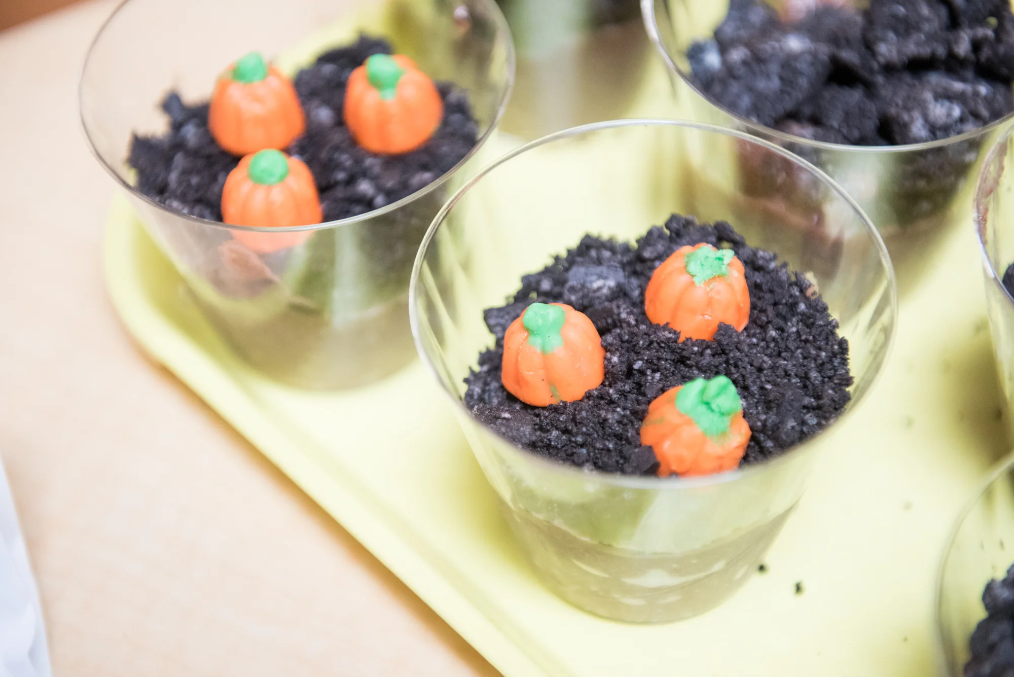 MCH Fall Festival 2017 WEB RES FAVES-014.jpg