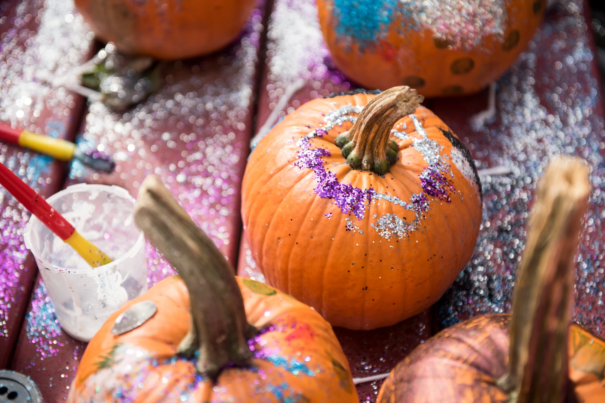 MCH Fall Festival 2017 WEB RES FAVES-018.jpg