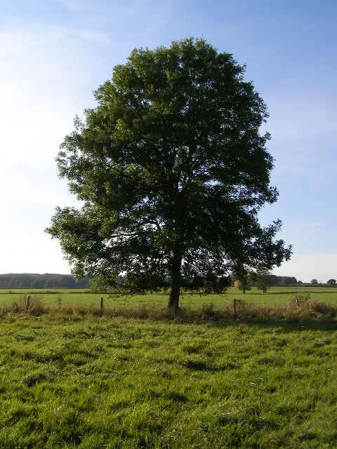 fpo image 1.jpg