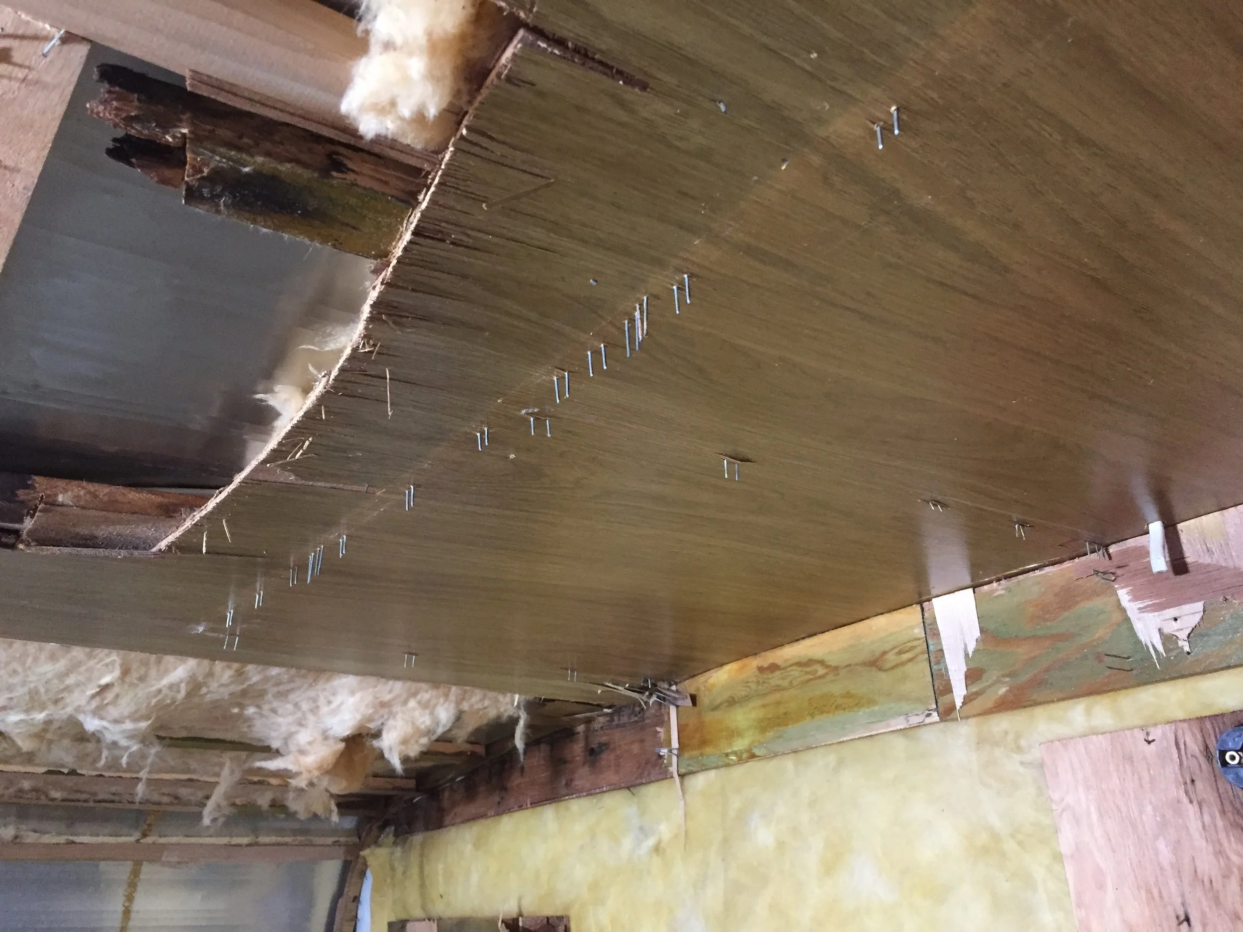 The ceiling before it started raining staples in The Cameo.
