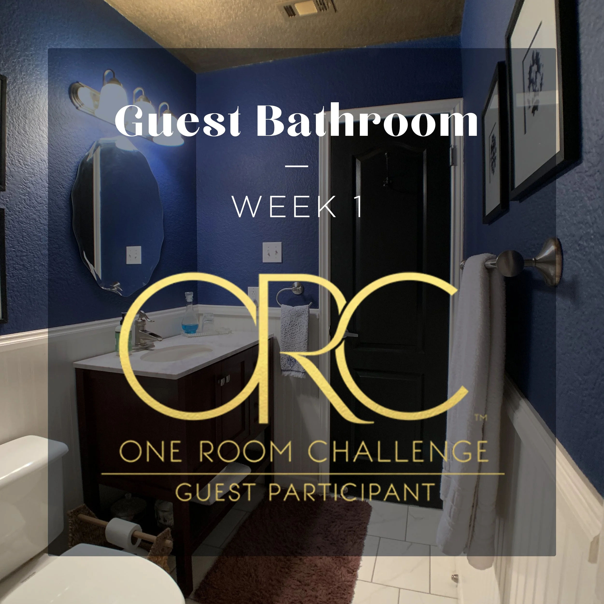 One Room Challenge: Guest Bathroom – Week 1