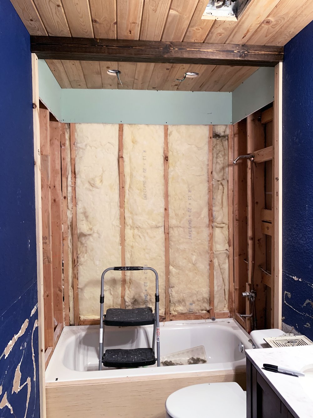 LoneOakDesignCo-GuestBathroom-Week3_IMG_4736.jpg