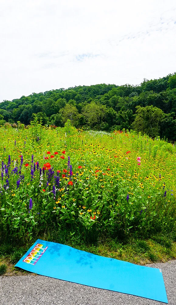 Harmony Pride_EB_Photo2_1000.jpg