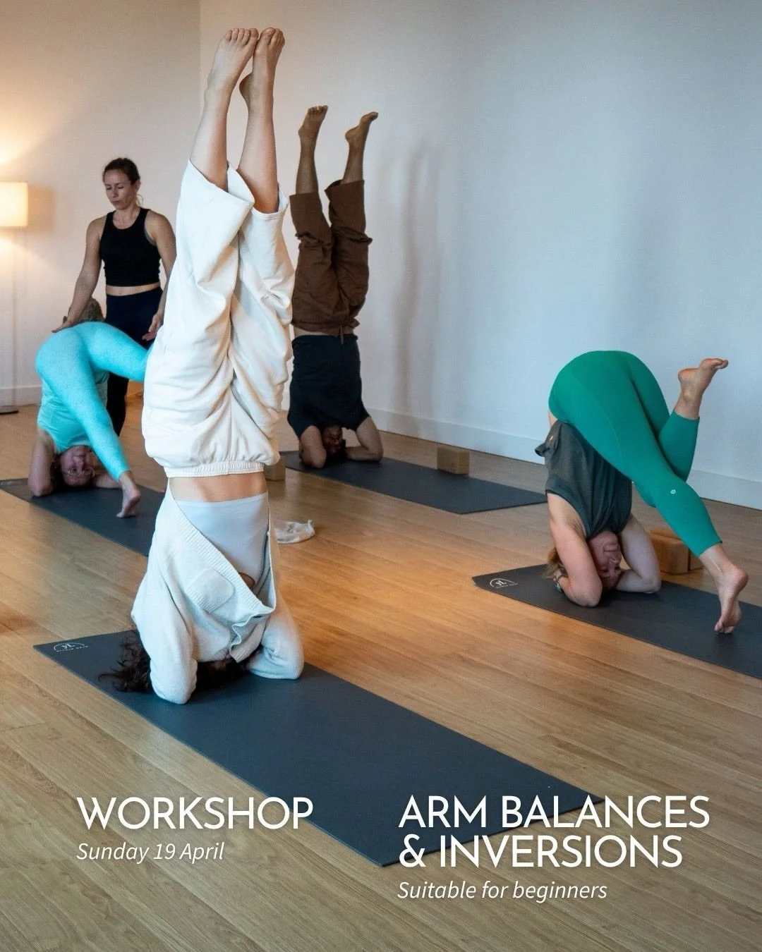 INTRODUCTION TO ARM BALANCES &amp; INVERSIONS
Workshop with Elodie
Curious about arm balances and inversions but not sure where to start?
Join Elodie for an afternoon of exploration, playfulness, and learning as we break down the foundations of these