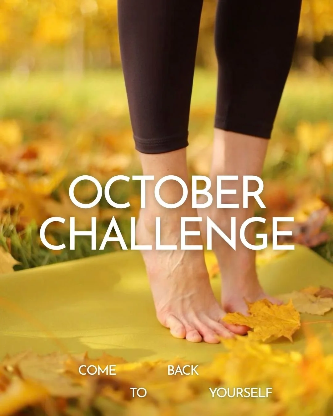 Tracy Vogt 50-Hour Aerial Yoga in Silk Hammocks Teacher Training