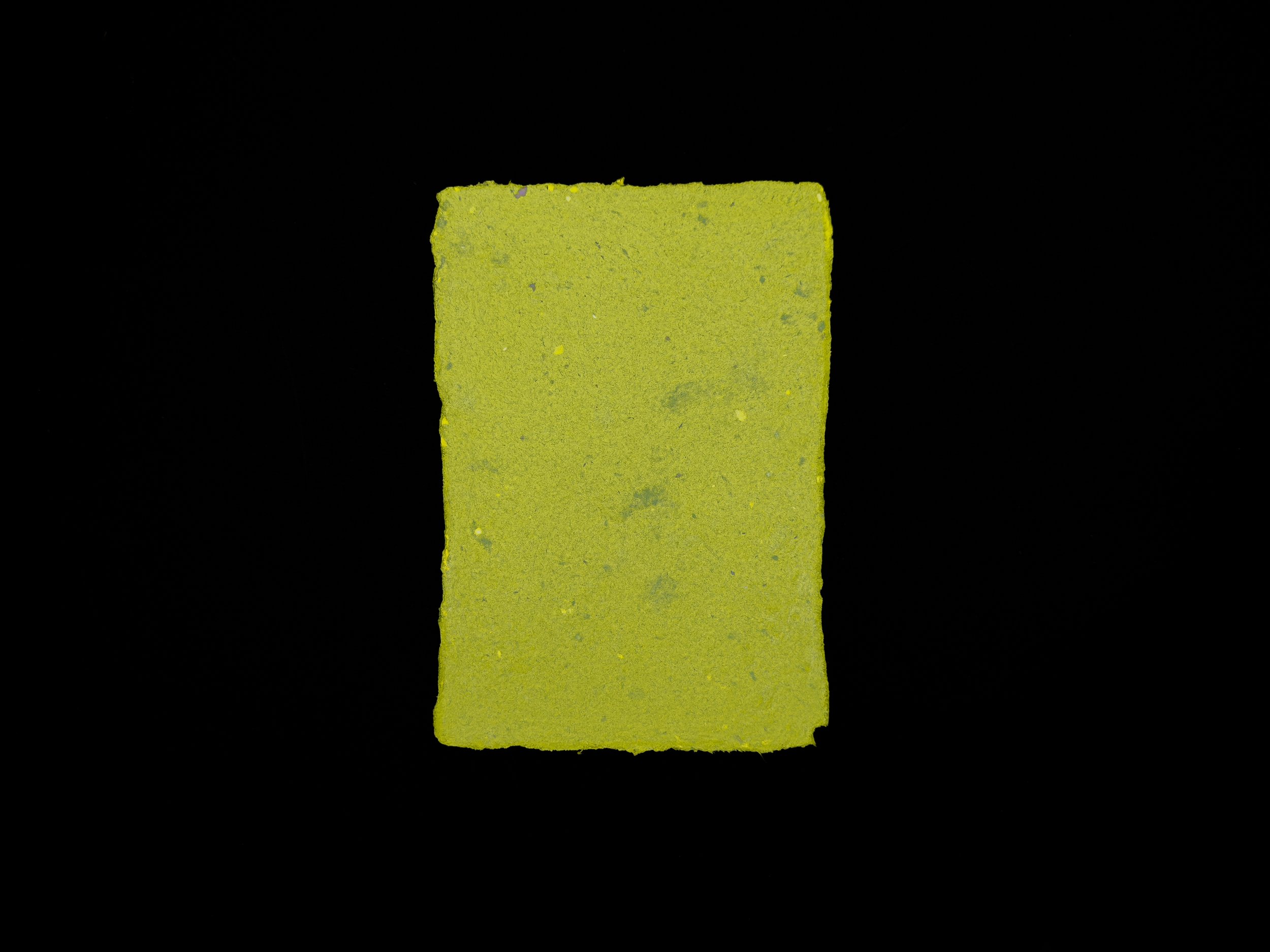 Pea soup green sheet of handmade paper on a black background.