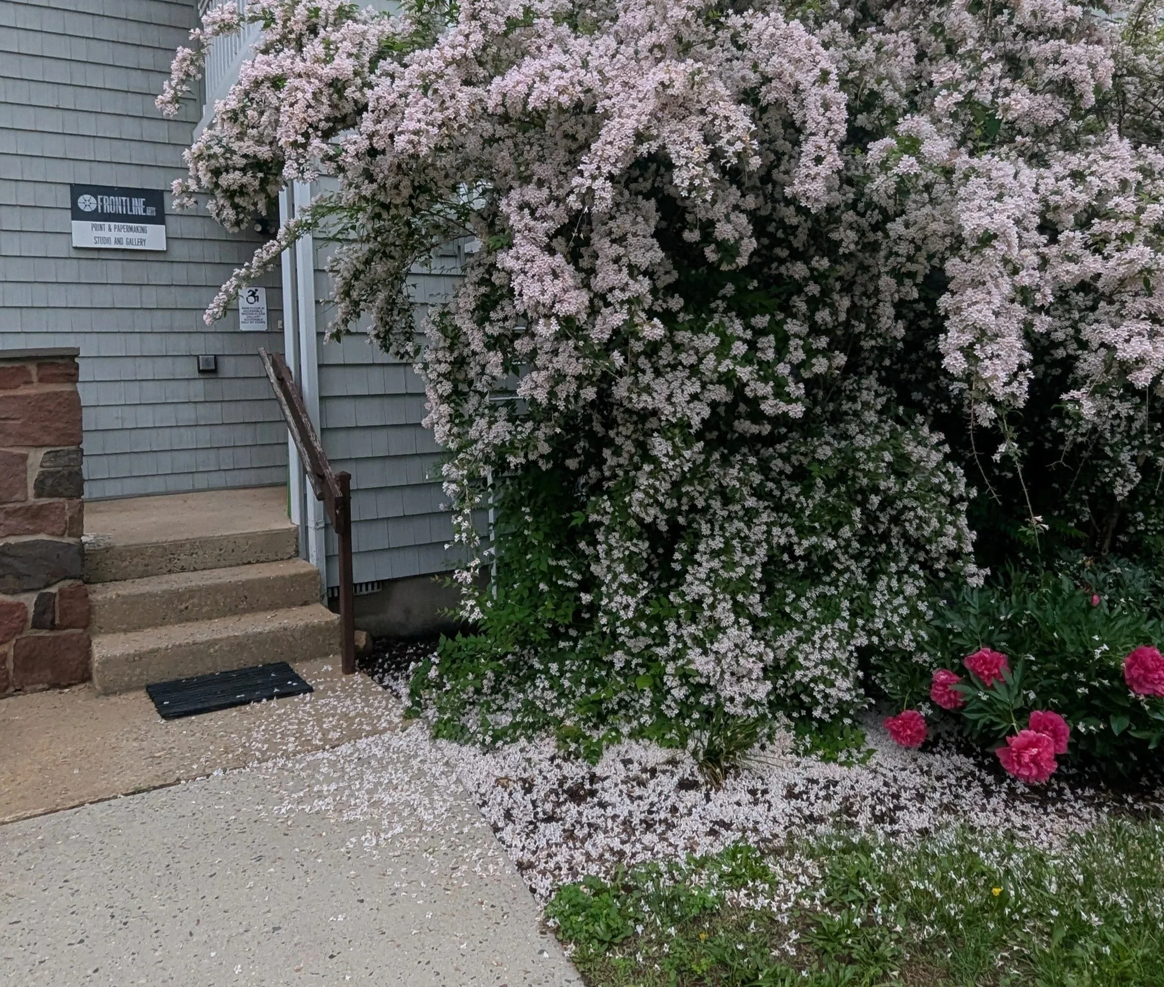 PXL_20250517_124304567.RAW-01.COVER.jpg