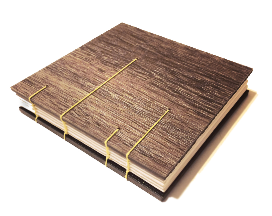 Bookmaking for Everyone  ​(with Dave DiMarchi)