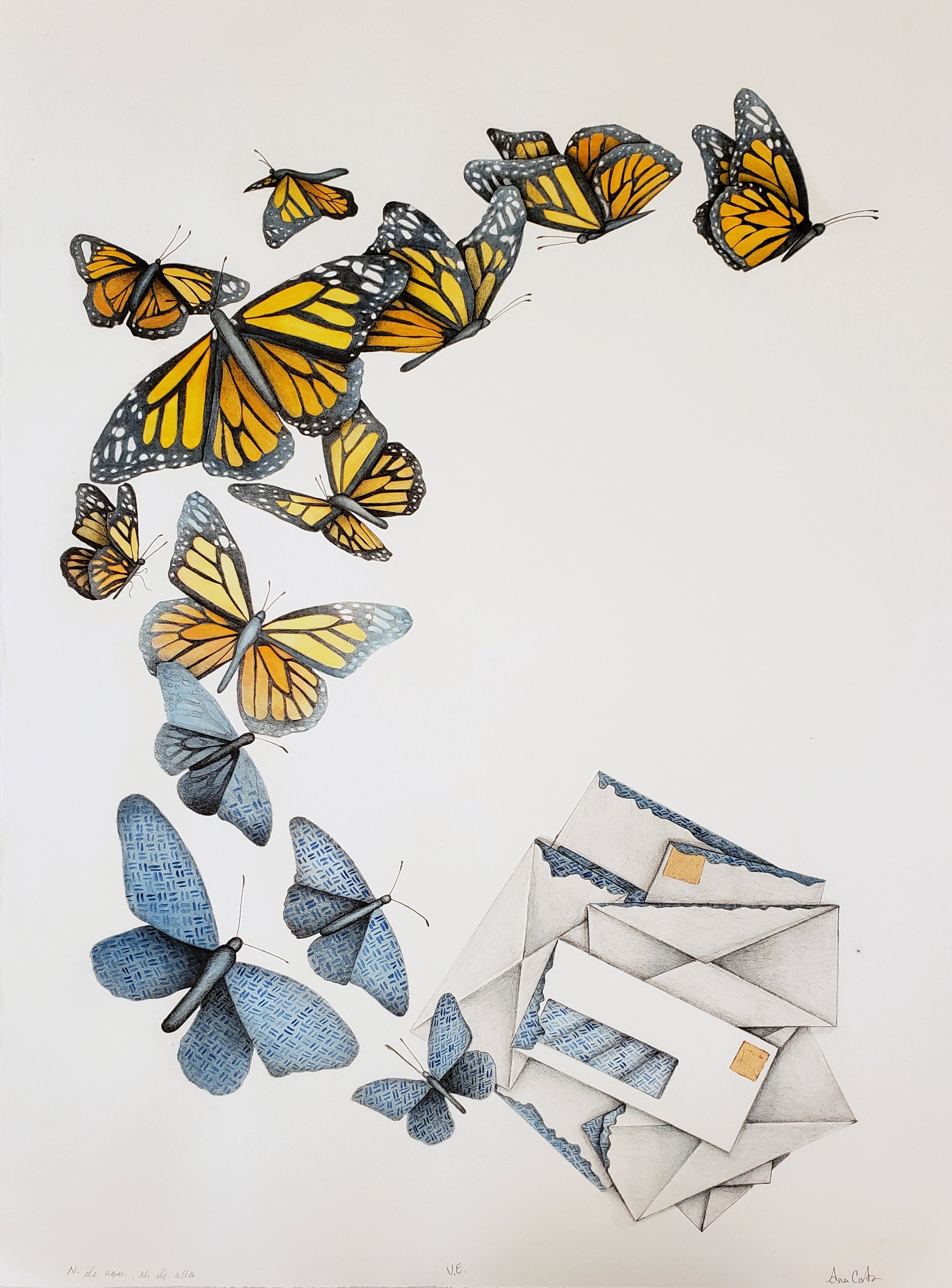 Ana Cortes