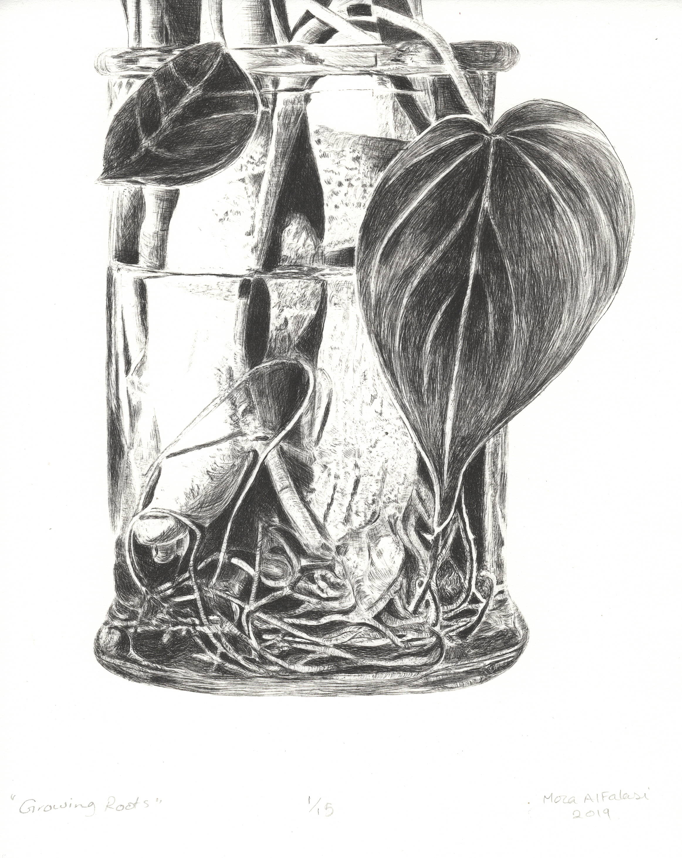 Growing Roots
