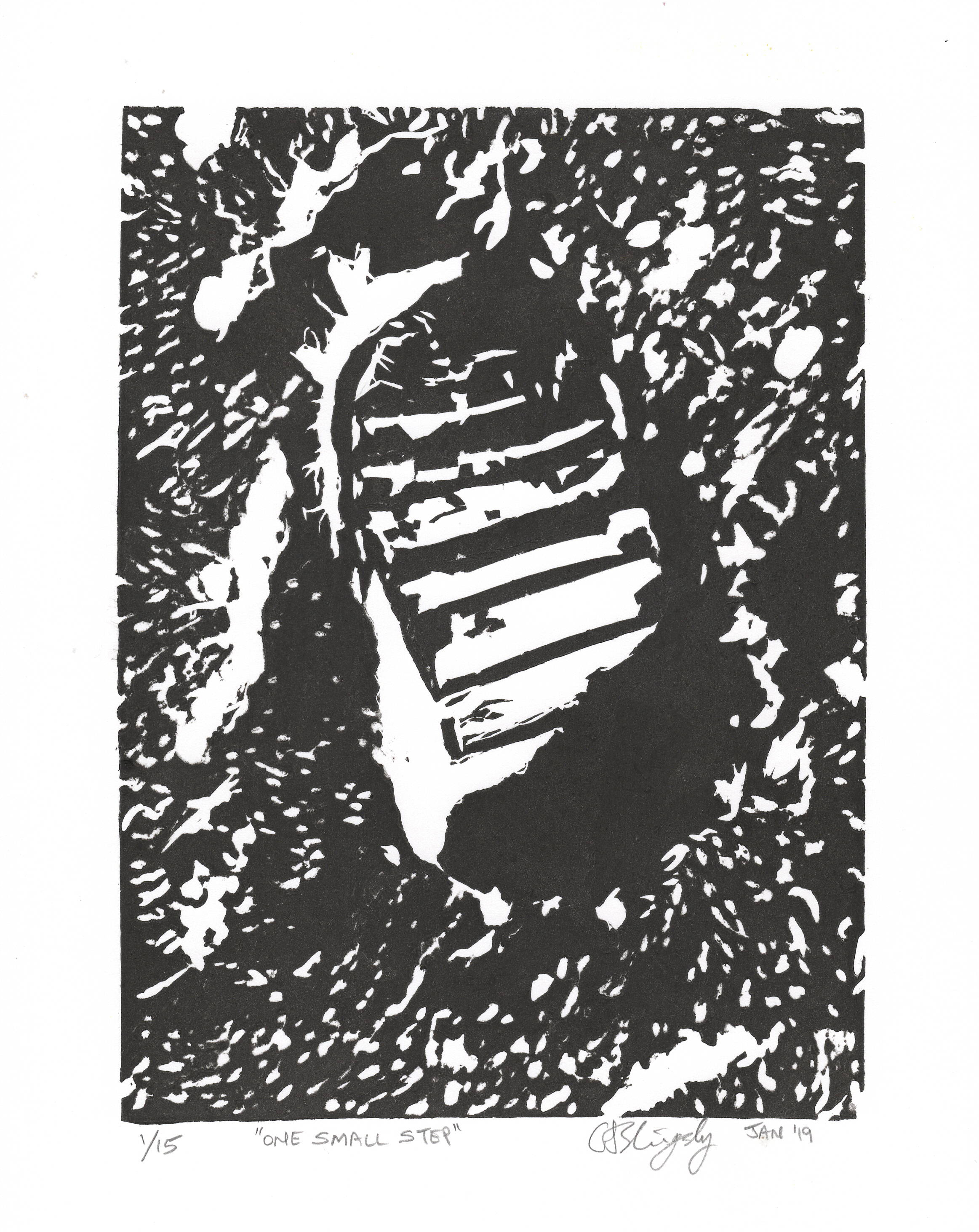 One Small Step