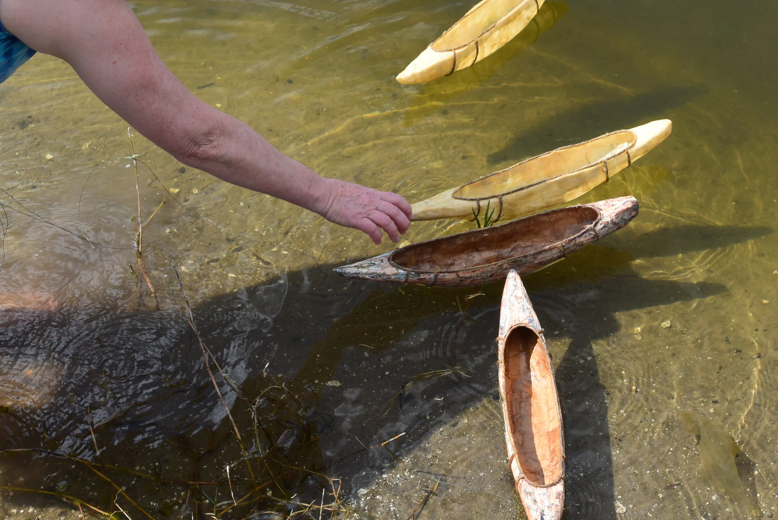 Virtual Artist Talk with Liz Mitchell