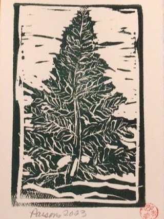 The Fern Tree - A Christmas Card