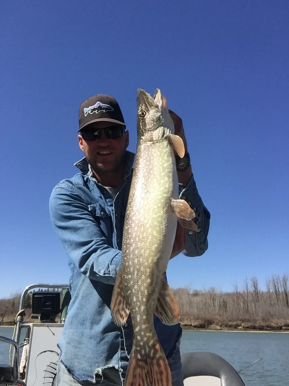 Early spring jackfish in the boat! Edmonton, Alberta's all inclusive fishing guide. Explore Canada's finest fishing.