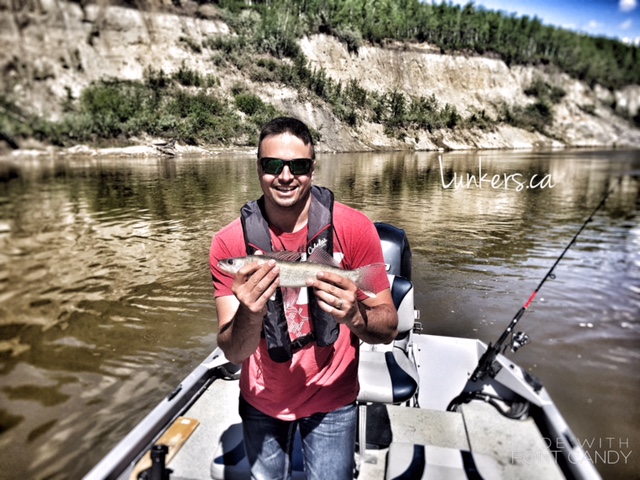 Regards,
Nick Porayko
www.lunkers.ca