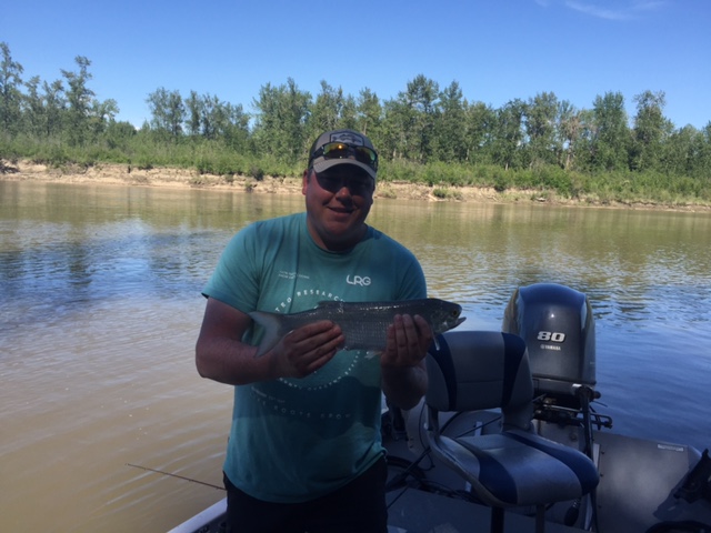 Regards,
Nick Porayko
www.lunkers.ca