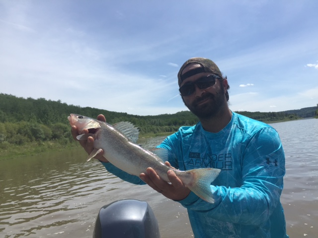 Regards,
Nick Porayko
www.lunkers.ca