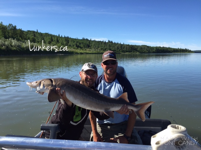 Sturgeon fishing on the North Saskatchewan River