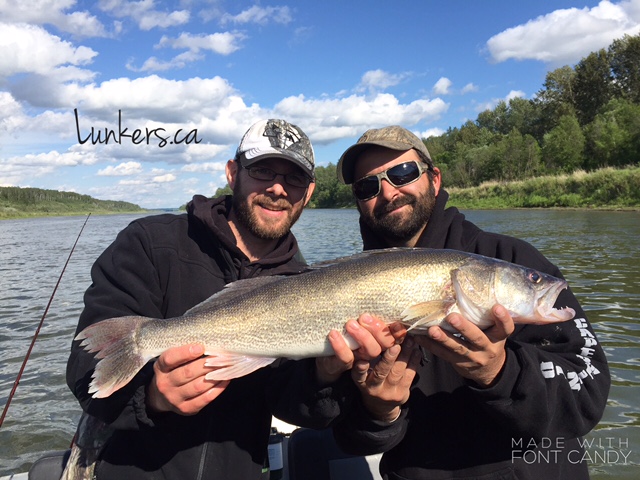 Regards,
Nick Porayko
www.lunkers.ca