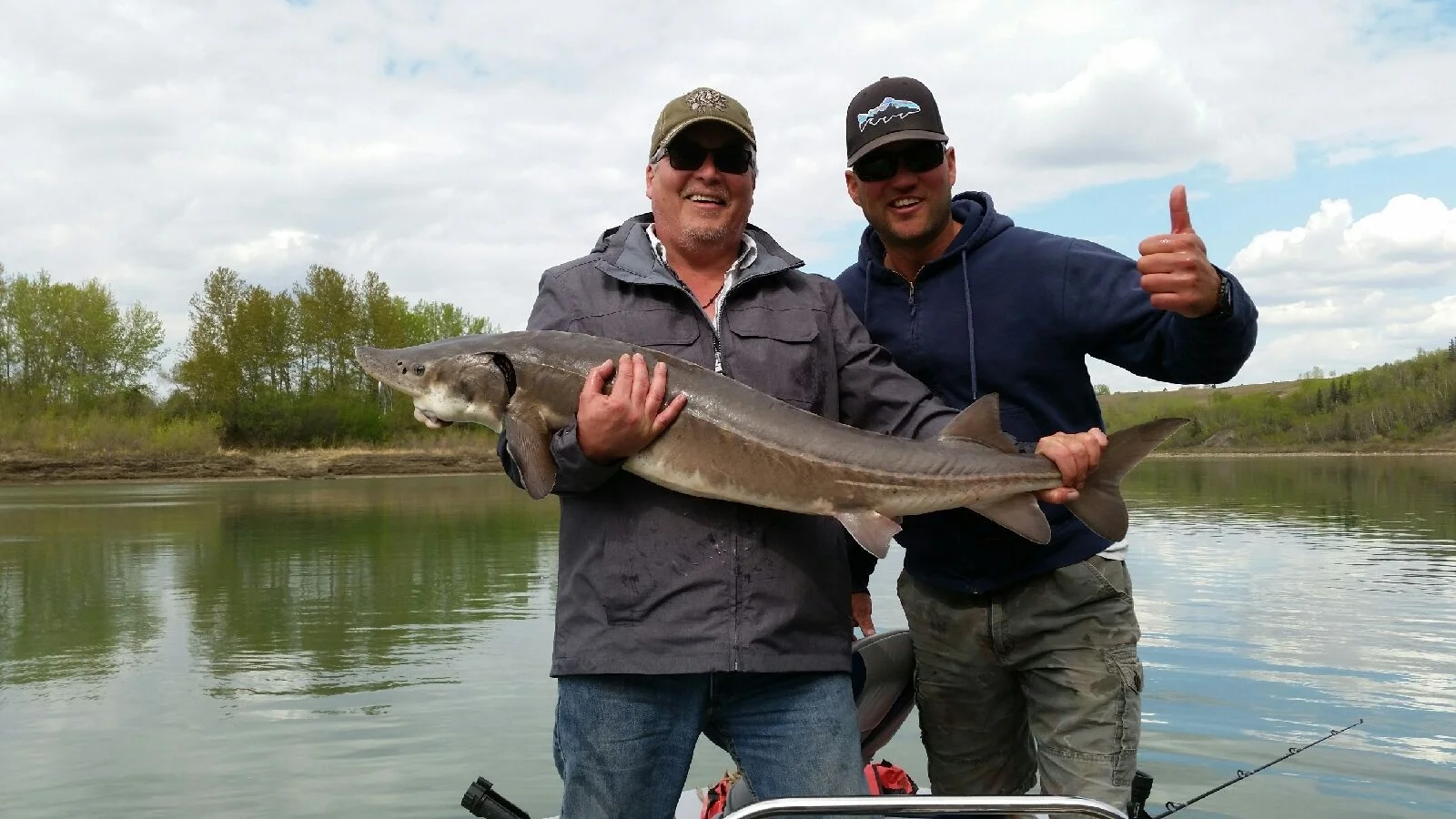 Lunker's Fishing Adventures lands a heavy sturgeon. Edmonton, Alberta