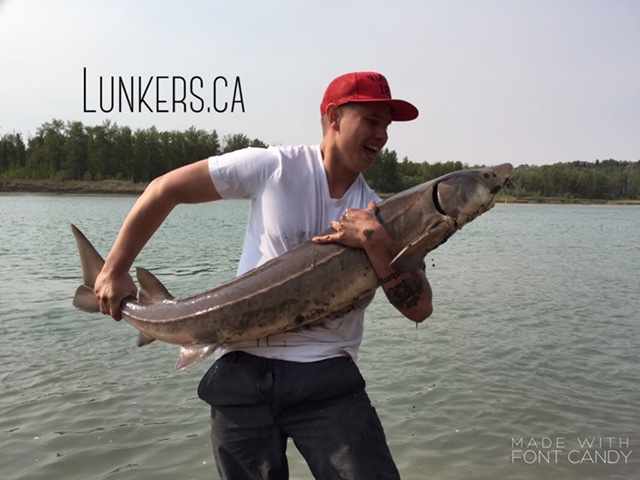 Landing a 60" sturgeon is a true trophy! Making memories one cast at a time.
