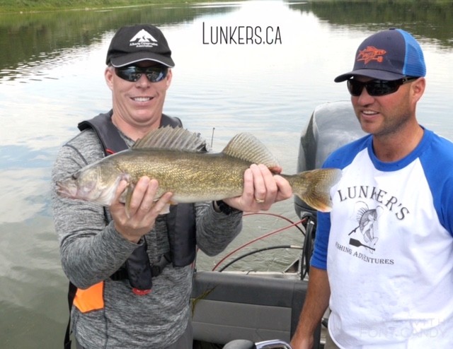 Todd Zimmerling, president of the Alberta Conservation Association and a big old healthy North Saskatchewan River walleye!