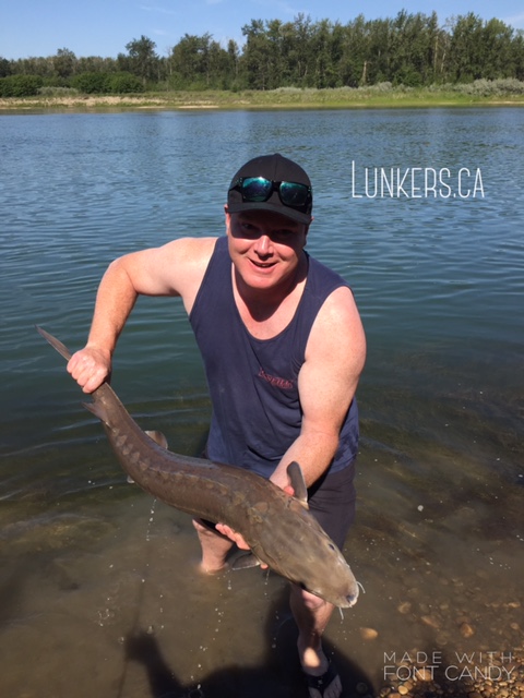 Regards,
Nick Porayko
www.lunkers.ca