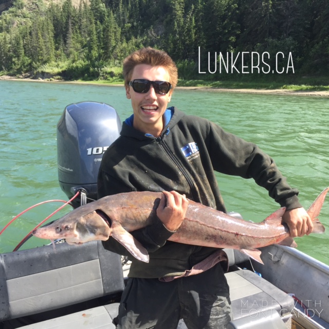 Regards,
Nick Porayko
www.lunkers.ca