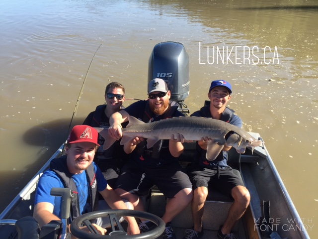 Regards,
Nick Porayko
www.lunkers.ca