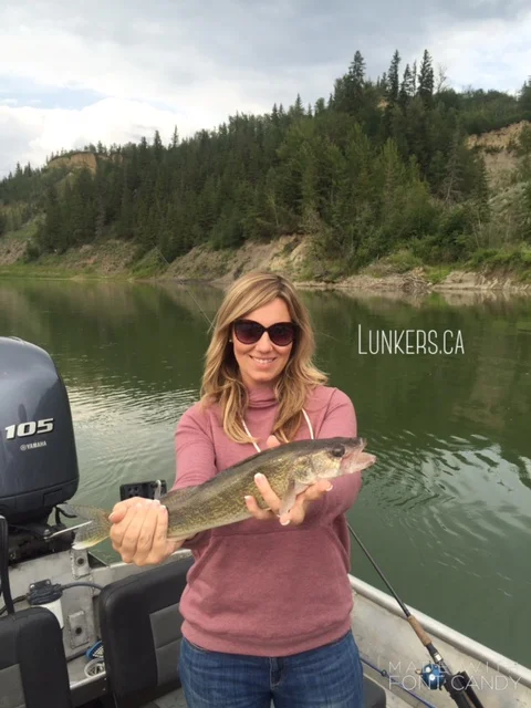Regards,
Nick Porayko
www.lunkers.ca