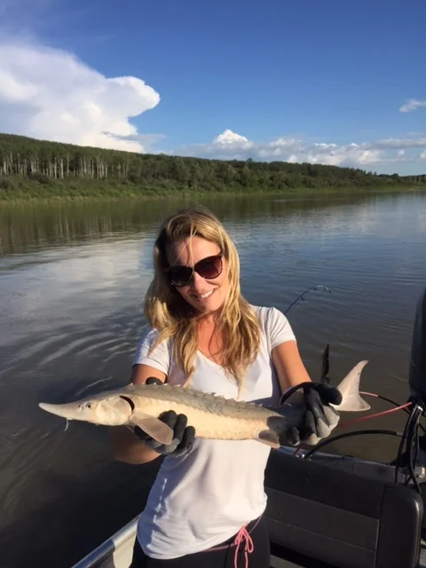 Regards,
Nick Porayko
www.lunkers.ca