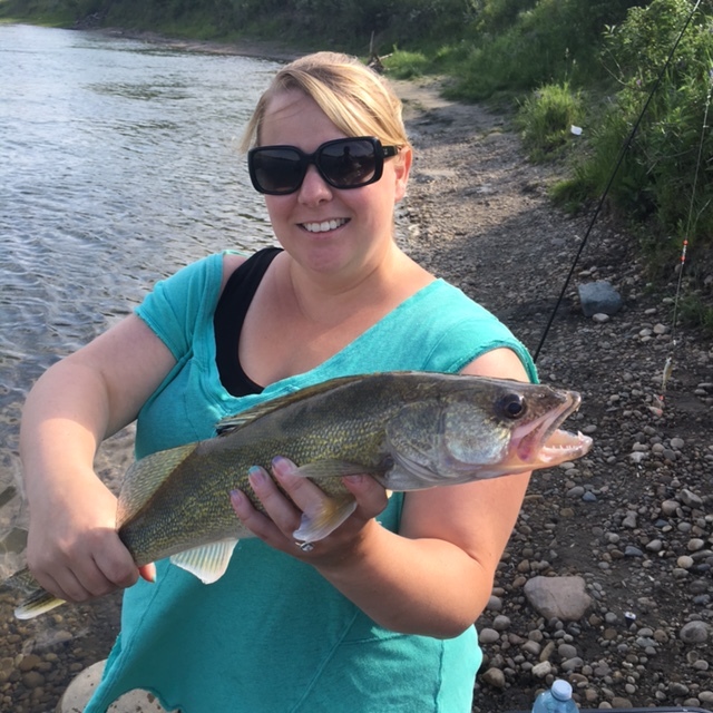 North Saskatchewan River walleye. Lunker's, Alberta fishing guide.
