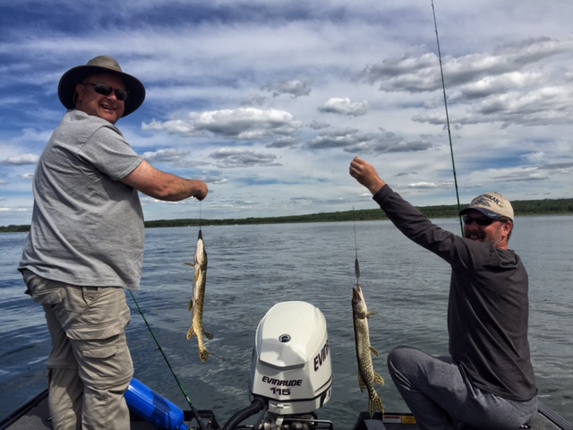 Doubling up on the Jackfish. Lake fishing with Alberta's fishing guide Lunker's Fishing Adventures.