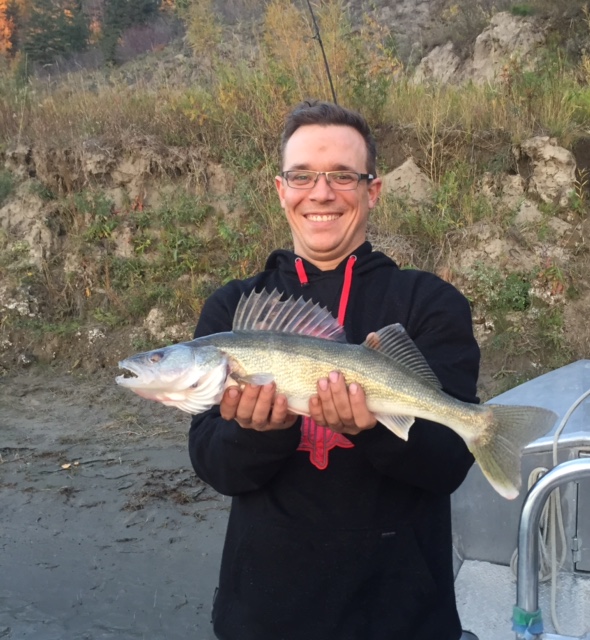 Nice fall walleye on the North Saskatchewan River. Alberta fishing guide Lunker's Fishing Adventures.