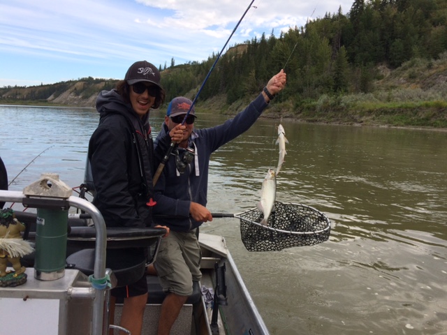 Catching the zippy goldeye! Lunker's your all inclusive fishing outfitter, Alberta.