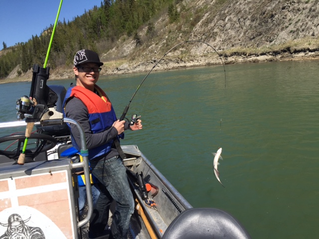 Regards,
Nick Porayko
www.lunkers.ca