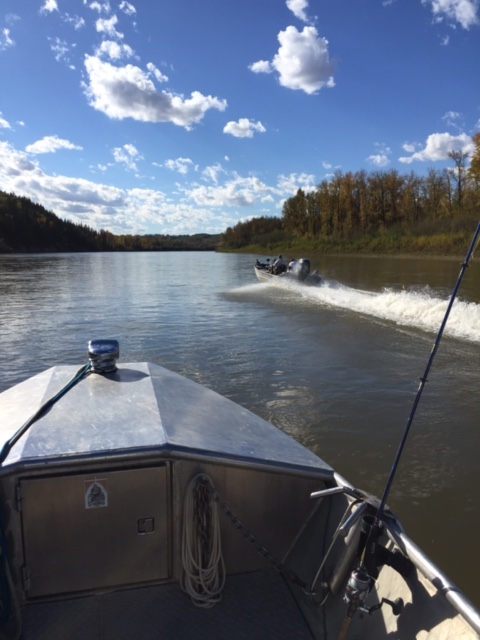 Crusing the river.