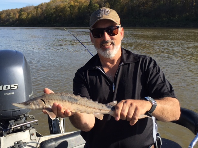 Sturgeon fishing the North Saskatchewan River