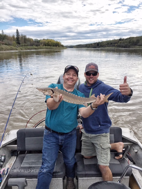 Sturgeon fishing the North Saskatchewan River.