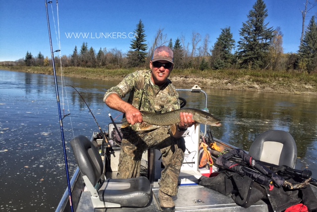 Hunting the North Saskatchewan River.