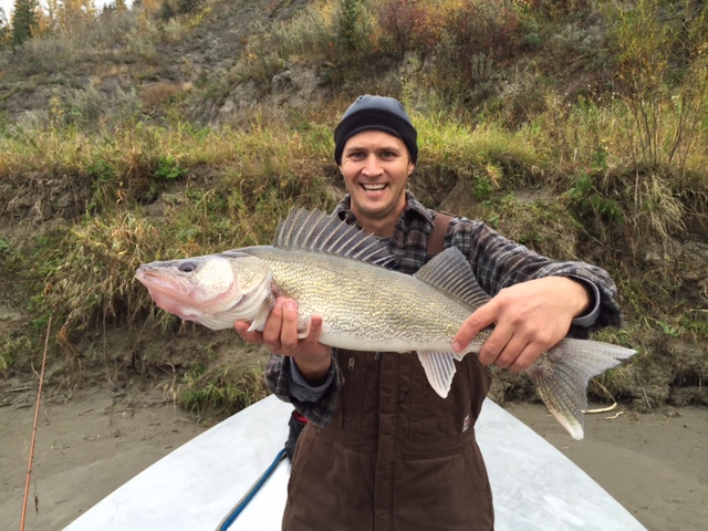Monster walleye!