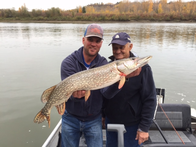 Fall jackfish