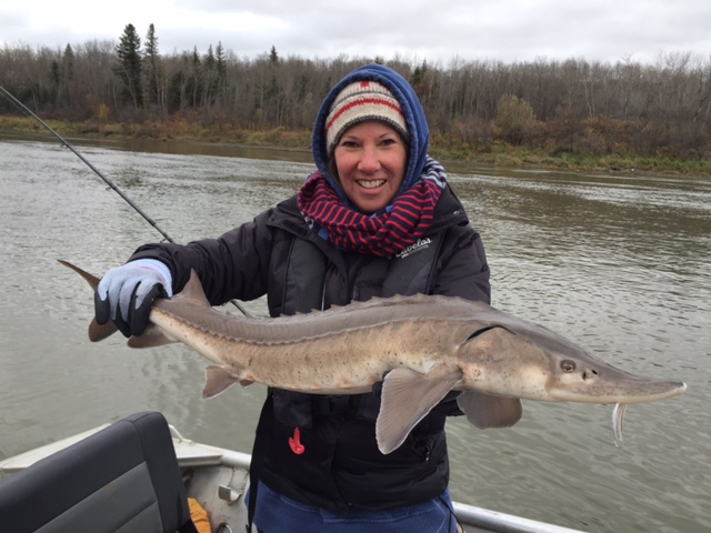 Regards,
Nick Porayko
www.lunkers.ca
