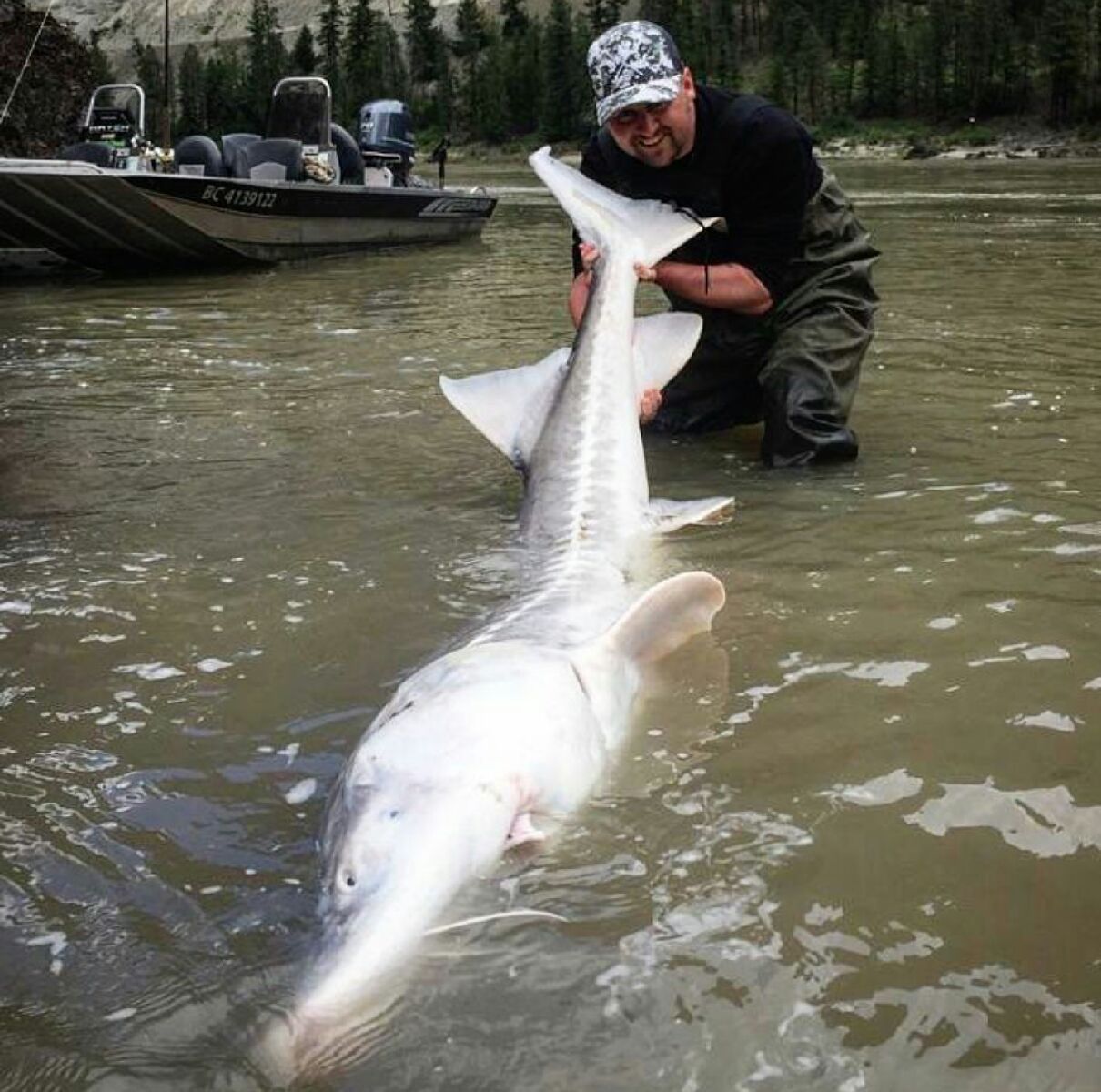 Sturgeon Fishing.