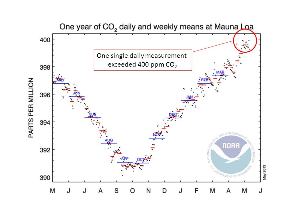 Daily carbon dioxide concentration measurements for the year to May 2013. Daily measurements are shown as black dots, weekly averages as red lines, and monthly averages as blue lines. On May 9th 2013, the daily value exceeded 400 ppm. Click for larger graph: Graphic is from NOAA Mauna Loa Observatory