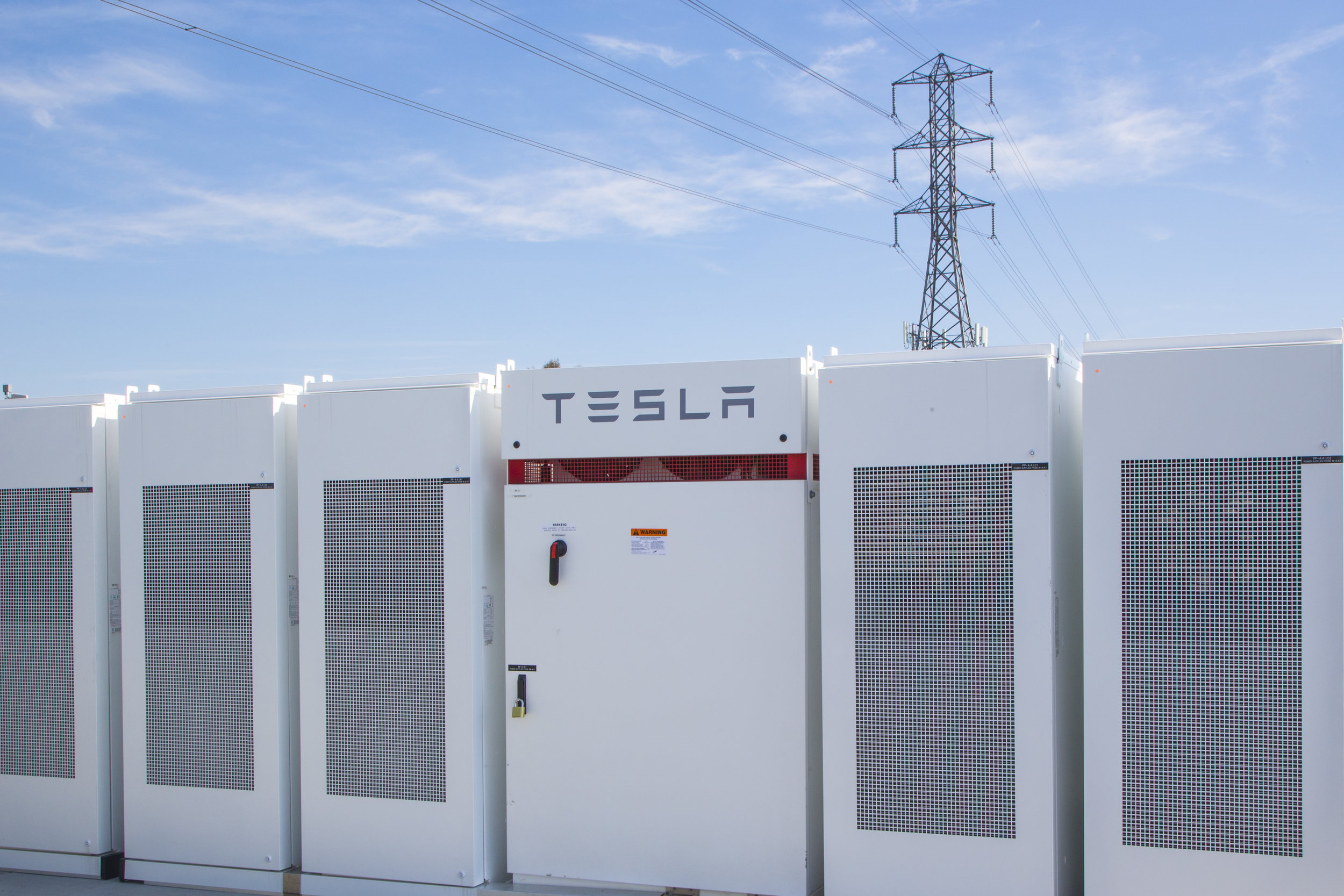Photo courtesy Tesla via Alexis Georgeson