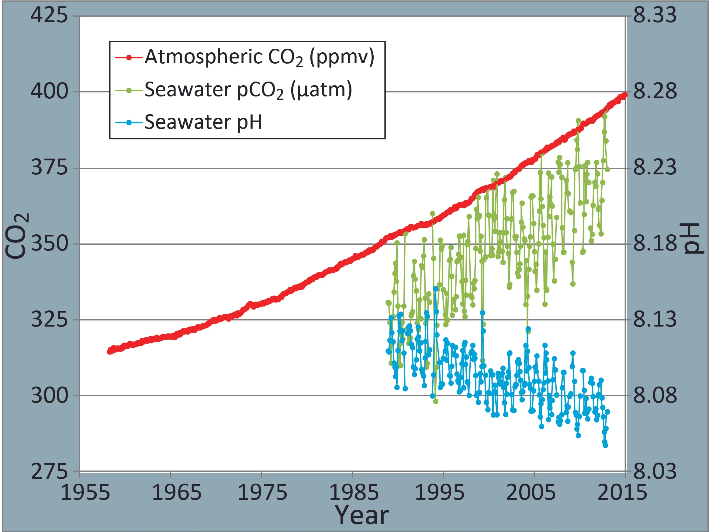 It is not just people that are being affected. As the carbon from the air is absorbed by the enters the ocean, it causes changes in the ocean chemistry. We are adding so much that the pH is going down (blue). That causes the ocean to become less alkaline and more acid (acidification in green).